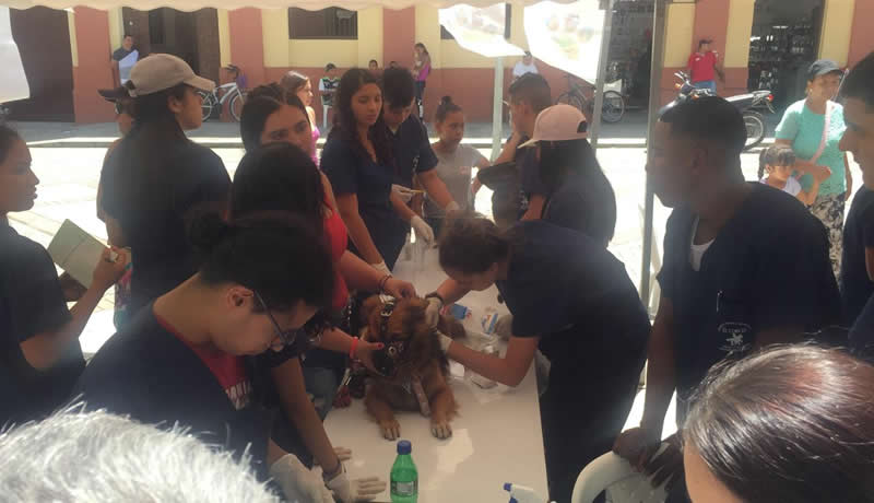 Practicas Reales - El Corcel Centro Tecnico Veterinario Cali Colombia