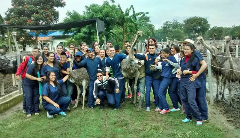 Practicas Reales - El Corcel Centro Tecnico Veterinario Cali Colombia