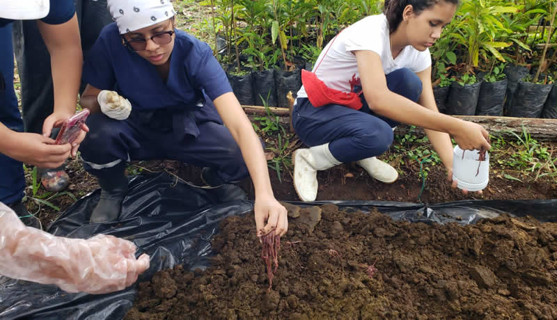 Practicas Reales - El Corcel Centro Tecnico Veterinario Cali Colombia