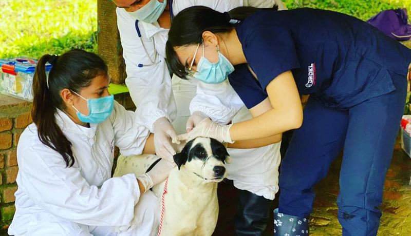 Practicas Reales - El Corcel Centro Tecnico Veterinario Cali Colombia