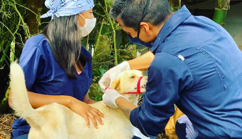 Practicas Reales - El Corcel Centro Tecnico Veterinario Cali Colombia