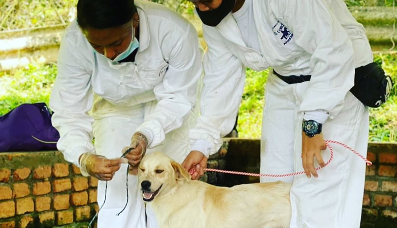 Practicas Reales - El Corcel Centro Tecnico Veterinario Cali Colombia