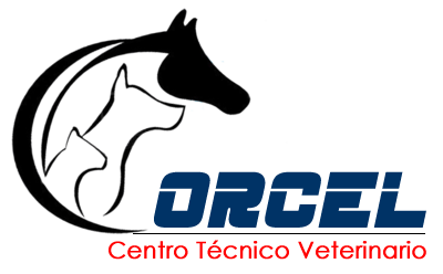 Centro Tecnico Veterinario El Corcel